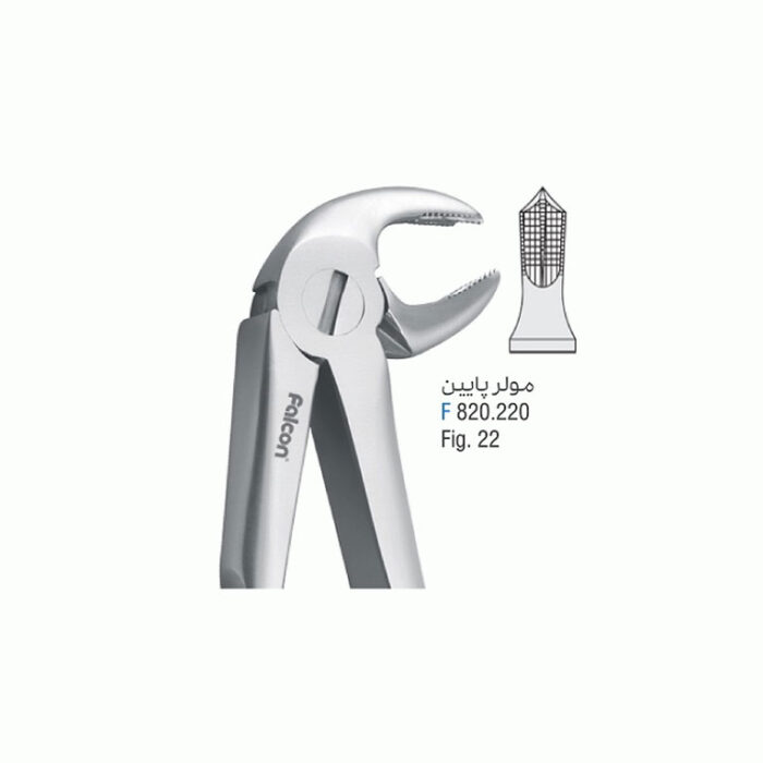 product-image - 2025-01-30T194450.702