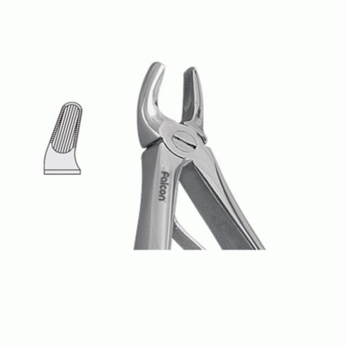 product-image - 2025-01-30T195618.927